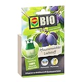 COMPO BIO Pflaumenwickler Lockstoff für eine ganze Saison, Passend zur COMPO Trichterfalle (separat erhältlich), In Dispenser, 3 Stück