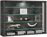 VCM Glasvitrine hängend | Vitrine Glas mit ESG-Sicherheitsglas | Maße: H. 60 x B. 83 x T. 18 cm | Modern und platzsparend | Vitrosa L Anthrazit