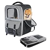 PETEPELA Haustier Rucksack mit Netzfenster, Tragbare und Faltbare Katzentasche, Atmungsaktive und Leichte Hundetasche