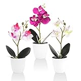 RANJIMA Kunstblumen im Topf, Künstliche Orchideen im Topf Kunstblumen Blumendeko für Home Deko Blumen künstlich für Tischdekoration zu Hause Dekoration Modern, 3er Set