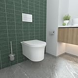 AICA Spülrandlos Wand WC Tiefspül, Weiß Moderne Kompakte Hänge-Toilette für Gästebad D-Form UF Soft-Close WC-Sitz mit Absenkautomatik | 365-AW