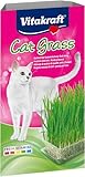 Vitakraft Cat Grass, Katzengras Saatenmischung, mit...