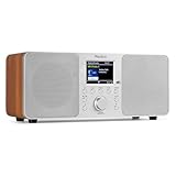 Audizio Genua DAB Radio mit Bluetooth – Stereo DAB Plus Radio mit Fernbedienung, 60 Speicherplätze, Auto Scan, Line-Out, USB, Ideal für Zuhause und Unterwegs, Einfache Bedienung - Silber