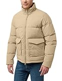 Jack Wolfskin Herren Nordlicht Jkt M Daunenjacke, Anis, M EU