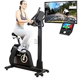 Skandika Liege-Ergometer/Ergometer Cykling P14 | Heimtrainer Fahrrad mit Touchscreen, Multimedia Computer, bis 150 kg, Bluetooth, App-Verbindung, Kinomap | Fitnessbike für Zuhause