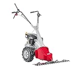 AL-KO Balkenmäher BM 875 IV, 2.7 kW Motorleistung, 87 cm...