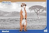 BlueBrixx Pro 107664 – Erdmännchen (Diamond Blocks) aus Klemmbausteinen mit 1645 Bauelementen