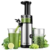 GDOR Entsafter Leistungsstarker Slow Juicer Einfach zu säubern Entsafter Gemüse und Obst Kompakter Cold Press Juicer mit hoher Saftausbeute, 600ml-Saftbecher, inklusive Bürste, BPA-frei, silberfarben