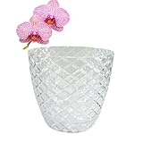 PANDEYA Orchideentopf mit Untertasse, Orchideentopf Transparent Durchmesser 15cm, Orchideentopf übertopf Kunststofftopf, Orchideen übertopf, Orchid Pot, Selbstbewässernder Topf mit Dichtsystem