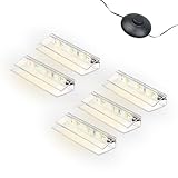 kalb | LED Glaskantenbeleuchtung Ambilux Clip transparent 3000K 5000K 1-10 Sets für Glasböden 4-10mm Fußschalter Glasbodenbeleuchtung erweiterbar um Dimmer/Controller Plug & Play (warmweiß, 5er Set)