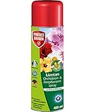 PROTECT GARDEN Lizetan Orchideen-und Zierpflanzenspray, gegen eine Vielzahl an saugenden Schädlingen, 400 ml Spray