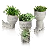 comforder – Blumentopf Set Beton, 3X Indoor & Outdoor...