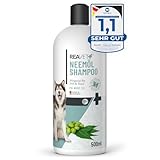 ReaVET TESTURTEIL SEHR GUT 09/23 Hundeshampoo - Neemöl gegen Milben, Flöhe, Zecken & Parasiten, 500 ml - Parasiten Shampoo, alle Rassen, angenehmen Duft & auf Hundehaut angepasst, Welpen geeignet