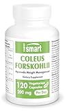 Coleus Forskohlii - Unterstützt das Management des Körpergewichts und die Fettverbrennung - Normalisiert auf 10% Forskolin - Steigert den Stoffwechsel - Vegan - Glutenfrei - Supersmart