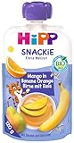 HiPP Sportsfreund Quetschbeutel (Mango in Banane-Orange-Birne mit Reis, 100% Bio-Früchte ohne Zuckerzusatz) 6 x 120 g Beutel