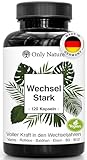NEU: Wechseljahre Kapseln - 120 St. – Einzigartige bei Menopause – Mit Yams, Rotklee, Baldrian, Eisen, Vitamin B9 und B12 – in Deutschland produziert, Laborgeprüft & 100% Vegan - Bei Hitzewallungen