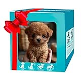 KOMEIYL Roboterhund Für Erwachsene, Mein Realistischer...