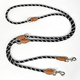 Hundeleine Große Hunde Doppelleine Reflektierend, Premium Hunde Leine 3fach Verstellbar Umhängeleine aus Nylon, Führleine Hund Rund und Bissfest mit 2 Karabiner, Dog Leash 3M (1.4CM 2)