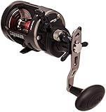 Penn Warfare Level Wind 20LH Reel - Linkshand Multirolle zum Meeresangeln, Raubfischrolle, Meeresrolle zum Jiggen, Rolle