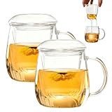 GBKDQQ 2 Stück Teetasse mit Deckel und Sieb, Teeglas all in one, 500ml Große Teetasse, Hitzebeständiges Borosilikat Teetassen, Leicht zu Reinigen für Zuhause und Büro