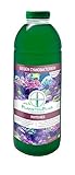 PlanktonPlus Aquaristik Phyto-Red Phytoplankton gegen Cyanobakterien im Meerwasseraquarium 1 Liter