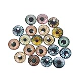 KANGQL Künstliche Augen, 20 Stück, Glas für Puppenaugen, Tiere, Bastelarbeiten, Augäpfel für Dinosaurier-Augenzubehör, 12 mm