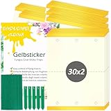 Blooven Gelbsticker 60 Stück, Trauermücken Bekämpfen, Gelbtafeln Trauermücken Gegen Kleine Fliegen in Blumenerde (6,5 x 9 cm)