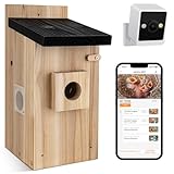 RAINBEAN Bird House with Camera,Nistkasten mit Kamera, 4 Millionen Pixel Outdoor-Vogelhaus-Kamera, Echtzeitbeobachtung des Nestbaus und der Brut von Vögeln, AI-Erkennung des Vogelverhaltens, DIY
