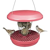 SWISSINNO Vogelfutterhaus zum Aufhängen – Lucerne SMART Birds - Meisenknödelhalter mit Auffangschale - Futterstation Rattensicher - Vogelfutterspender für 7 Meisenknödel - Staubiges Rosa