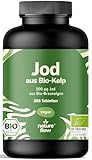 Jod Tabletten aus Bio-Kelp hochdosiert - 365 Tabletten - 200 µg Jodtabletten, vegan & produziert in Deutschland - Verpackung kann variieren