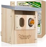 Steady Nature Nistkasten Rotkehlchen und Rotschwänzchen -...