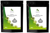 Collage Pulver intense geschmacksneutral - Collagen Hydrolysat Pulver 300 g (1 Pack) - Knorpel und Gelenk Protein Drink Typ II - (2)