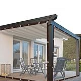 LVTFCO wasserdichte Klare PE-Plane Transparente Plane mit Ösen, Staubdichte Regenfeste Abdeckplane 0,12mm Dick for Pflanzen Carport Balkon Garten Camping (Color : Clear, Size : 2x3m/6.56x9.84ft)