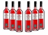 CANTI Vino Rosé - Roséwein 6 Flaschen - Italien wein trocken (6 x 0.75l)