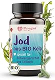 Bio Jod Tabletten - für Schwangerschaft & Stillzeit - 150 µg pro Kapsel - 100% vegan aus Kelp Algen - Jod Schwangerschaft für kognitive Funktion, Schilddrüsenunterfunktion - von PregniVital®