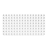 BIOBUDDI Grundplatte Bauplatte Weiß Schneeweiß 16 x 8 Noppen (25x12,5cm), 100% kompatibel mit Lego & duplo, klimaneutral hergestellt in EU (Niederlande), 97% Bioplastik, BB-0017