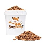 Aprikosenkerne bitter 1kg bittere ganze Aprikosenkerne ungesalzen ungeröstet naturbelassen ganze Kerne extra hoher bitter Anteil - 100% naturreines unbehandeltes Naturprodukt NussFuchs(1kg)