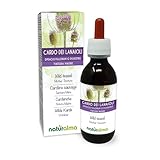 Wilde Karde (Dipsacus fullonum oder D. sylvestris) Wurzeln Alkoholfreier Urtinktur Naturalma - Flüssig-Extrakt Tropfen 120 ml - Nahrungsergänzungsmittel - Veganer