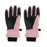 Winterhandschuhe für Schnee, Ski, kaltes Wetter, Snowboard-Handschuhe, Herren, Damen, Ski, Snowboard, Camping, Klettern, Touchscreen