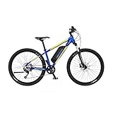 FISCHER E-Mountainbike MONTIS 2.1, Junior Elektrofahrrad für Damen und Herren, RH 38 cm, Heckmotor 45 Nm, 48 V Akku