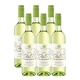 Landlust Chardonnay BIO und VEGAN QbA feinherb (6 x 0,75l)