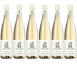 Hans Baer - Riesling -,Alkoholfreier Weißwein aus Deutschland (6 x 0,75 L)