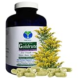Echte GOLDRUTE Solidago Goldrutenkraut 360 Kapseln NIEREN - BLASE - HARNWEGE - NATUR pur [OHNE ZUSATZSTOFFE] 26935-360