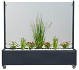Mobiler Windschutz Pflanzkasten Sichtschutz Glas Terasse Restaurant -150cm - blickdichtes(satiniertes) Glas (Anthrazit-matt)