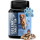Tierkraft Gelenktabletten für Hunde - Made in Germany - Gelenktabletten Hund mit Grünlippmuschel - Teufelskralle Hund - MSM Hund & Grünlippmuschel Hund - 50 Gelenk- & Knochenschutz Tabletten