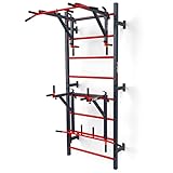 K-Sport: Trainingsset - Sprossenwand mit Dip Station & Klimmzugstange I Kraftstation mit Pull-Up Bar, Dip Stange für anspruchsvolle Workouts, inkl. E-Book