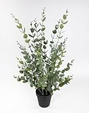 Seidenblumen Roß Eukalyptusbusch 60cm im Topf YF Kunstpflanzen künstliche Pflanzen Eukalyptus