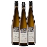 Oberkircher Winzer Scheurebe Auslese - COLLECTION OBERKIRCH - erfrischende Säure mit viskoser Fruchtsüße, opulent und langanhaltend fruchtig - Badischer Wein, Anbaugebiet Ortenau (3 x 0,375l)