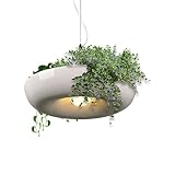 Dopsyesn Bepflanzter Pflanzenkronleuchter - Grüne Pflanzendeckenleuchten Für Schlafzimmer,Stimmungsbeleuchtung Minimalistische Lampe für Innen- und Außenbereich, Schlafzimmer, Küche, Wohnzimmer,