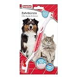 Beaphar Zahnbürste - Für Hunde und Katzen - Mit speziellem Borstenschnitt für gründliche und schonende Reinigung - 1 Stück